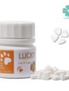 Lucky FIP Special Treatment GS Oral Pill Ⅱ 12 mg