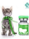 FIP Special treatment GS Lucky 20 mg/ml