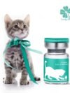FIP Cat Amazing and Efficient GS 15 mg/ml