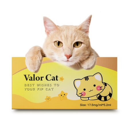 Valor cat amazing effective FIP care GS-441524 fip supplement 17.5 mg/ml