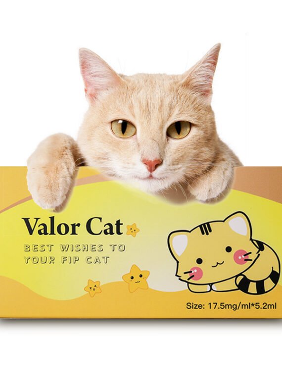 Valor cat amazing effective FIP care GS-441524 fip supplement 17.5 mg/ml